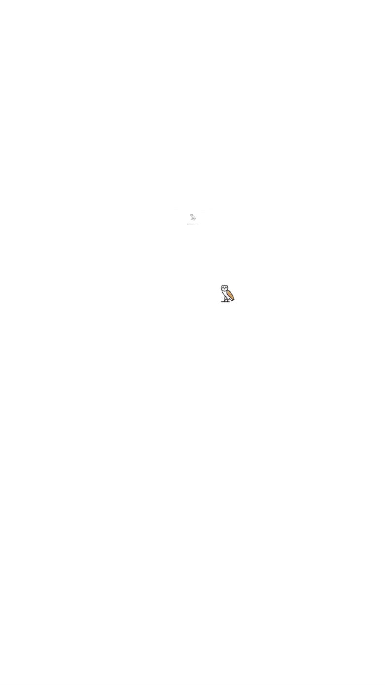 OVO Owl Logo T-shirt white